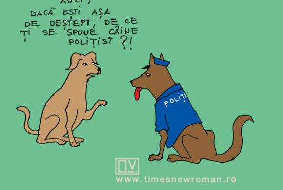 Controversă canină