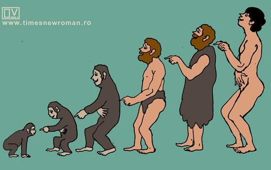 Evoluția umorului