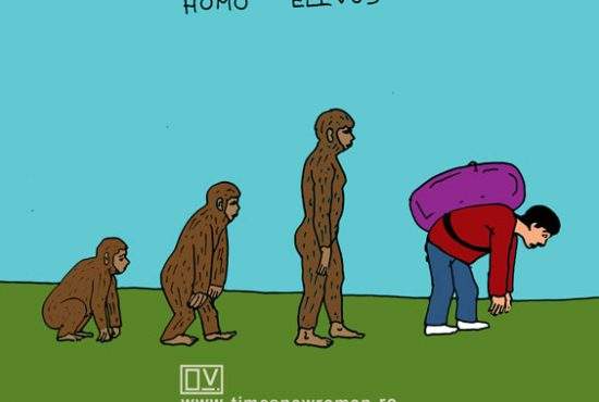 Homo elevus