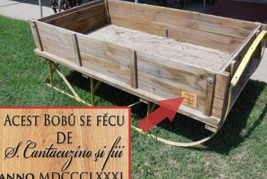 Nu venim cu mâna-n cur de la Soci! Un colecţionar de antichităţi ne-a oferit 100.000 euro pe bob!