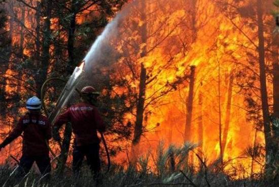 Flacăra democraţiei a incendiat mai multe hectare de pădure în judeţul Harghita