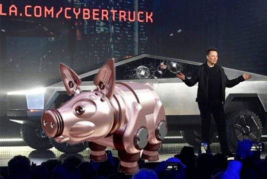 România a produs primul porc electric, să avem ce căra cu camioneta lui Elon Musk