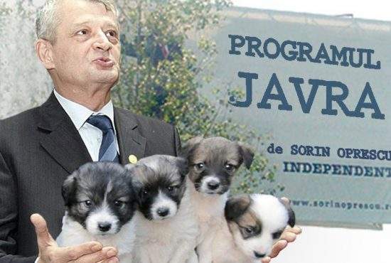 Sorin Oprescu va demara Programul JAVRA, de reînnoire a parcului de câini al Capitalei