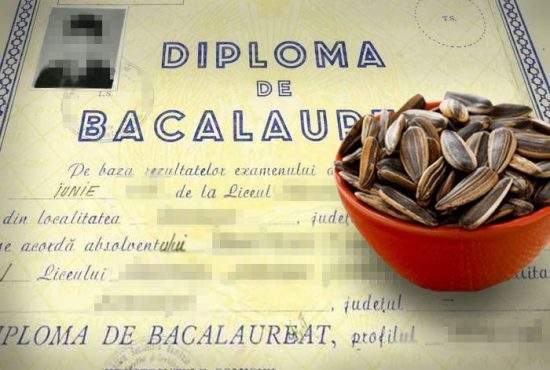 Răsturnare de situaţie! Ultimele cercetări arată că seminţele ar putea avea alt gust dacă iei Bacul