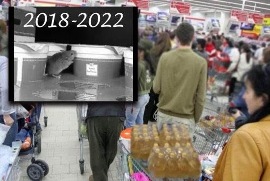 Doliu în România! Șoarecele de la Kaufland a fost strivit în îmbulzeala de la ulei