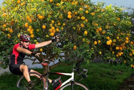 Un român e în stare citrică după ce a intrat cu bicicleta într-un lămâi