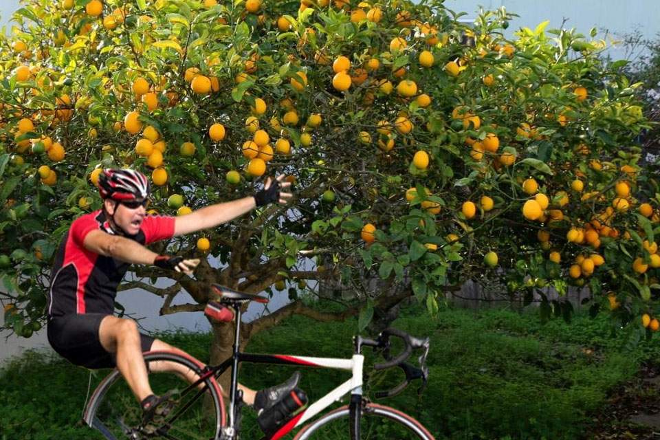 Un român e în stare citrică după ce a intrat cu bicicleta într-un lămâi