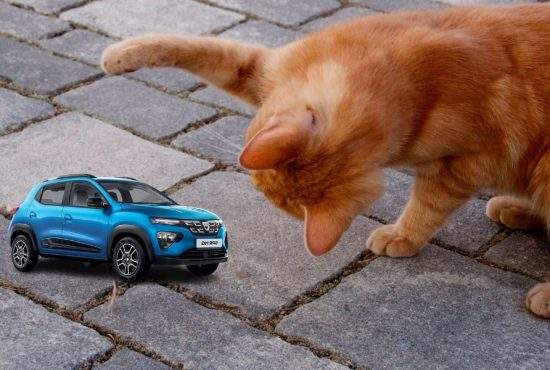Incident în trafic. O pisică s-a jucat două ore cu o Dacia Spring crezând că e șoricel