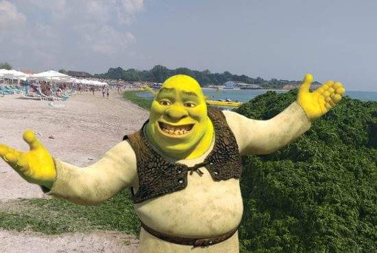 Sunt atât de multe alge pe litoral încât Shrek 5 se filmează la Eforie