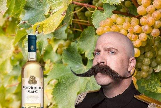 Vinul preferat al ungurilor este Șovignon Blanc