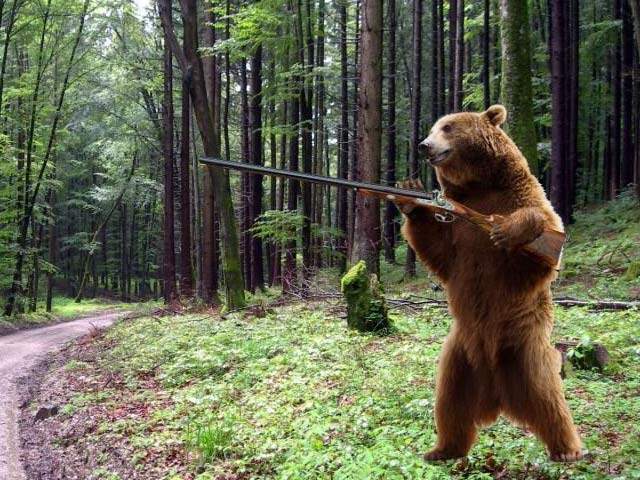 Guvernul le dă urșilor arme ca să se împuște între ei