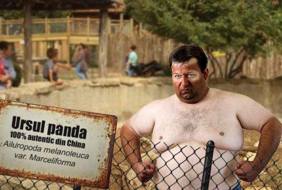 Scandal la Zoo Băneasa! Ursul panda era de fapt un îngrijitor bronzat ca tractoriştii