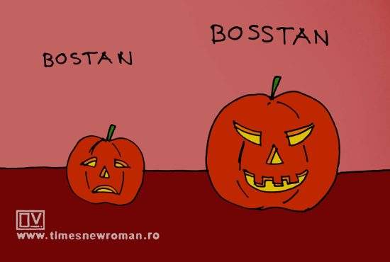 Bostani