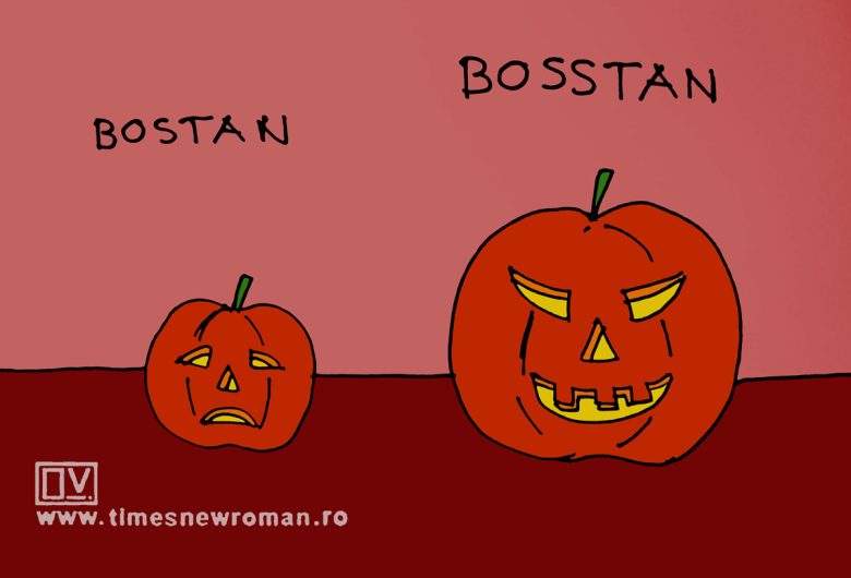 Bostani