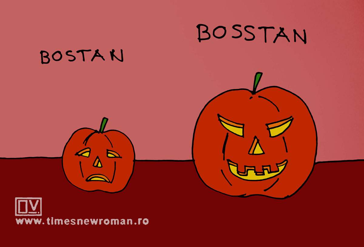 Bostani